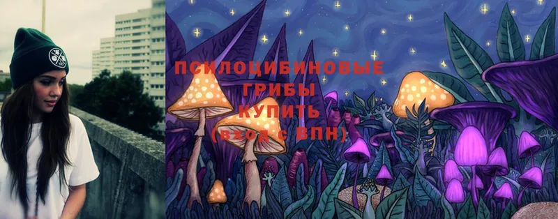 гидра ONION  Горнозаводск  Псилоцибиновые грибы Cubensis 